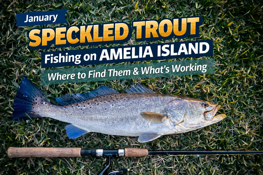 January fishing report for Amelia Island Florida.  Speckled Trout tips and tricks