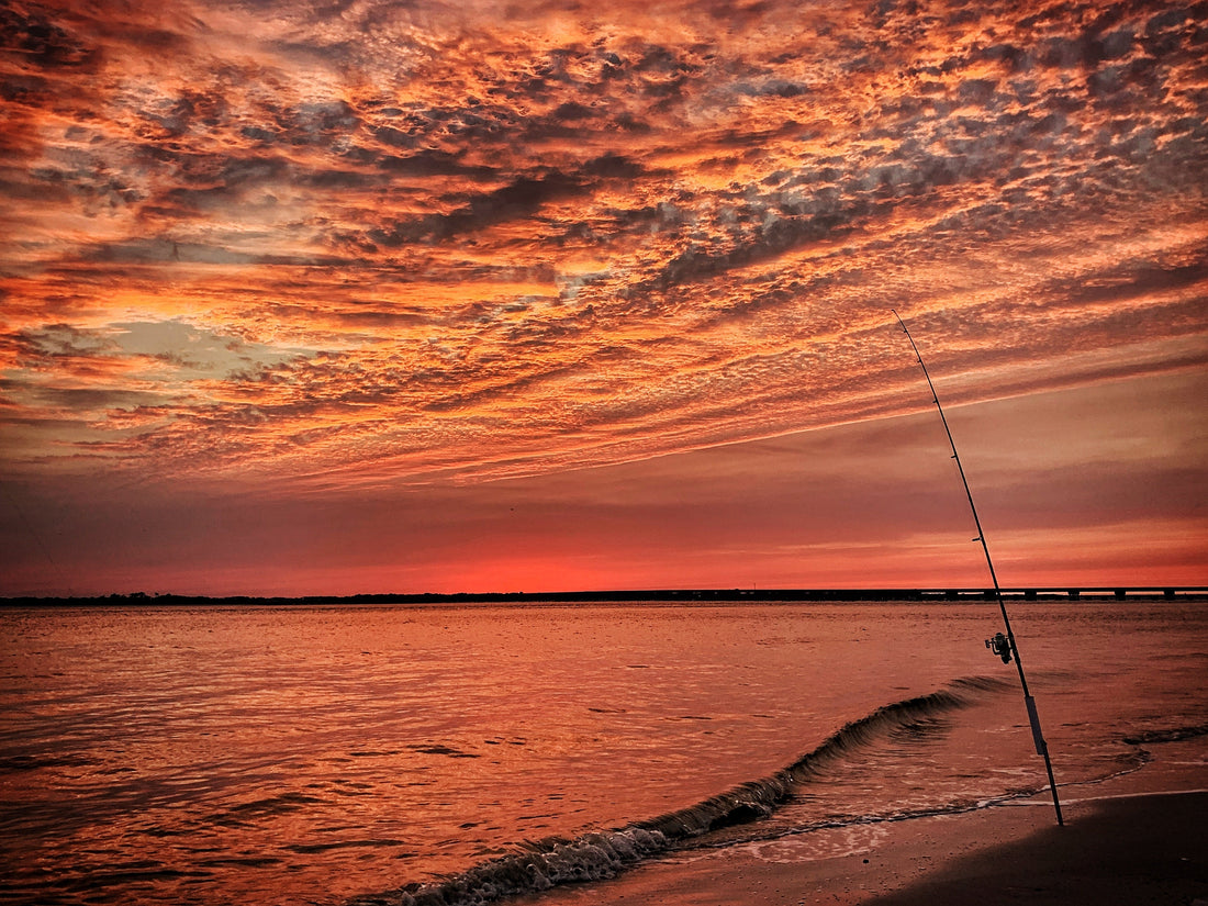 Surf Fishing on Amelia Island | Beaches, Bait, Tides & Gear