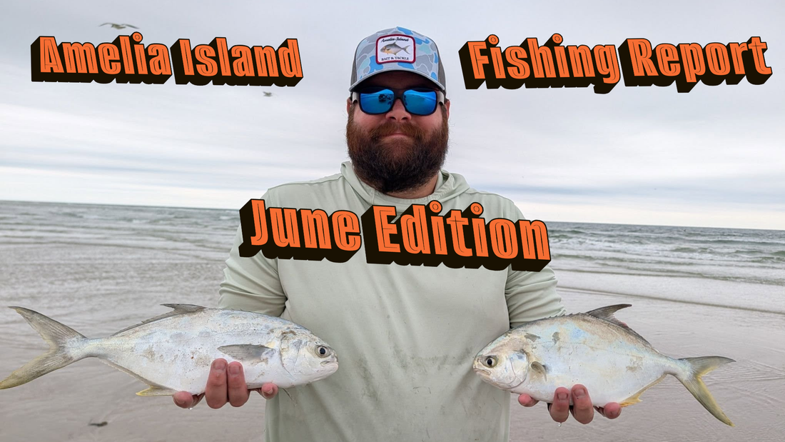 June 2026 Amelia Island Fishing Report