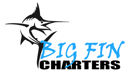 Big Fin Charters