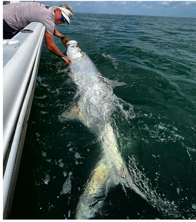 Amelia Island Charters